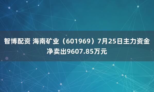 智博配资 海南矿业（601969）7月25日主力资金净卖出9607.85万元