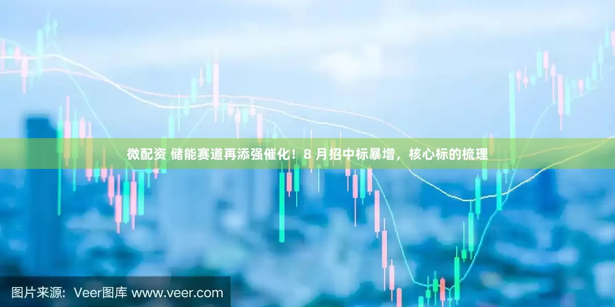 微配资 储能赛道再添强催化！8 月招中标暴增，核心标的梳理